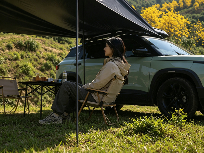 Auvent latéral de voiture 3D a - Outdoor Furniture Frontgate avis et prix